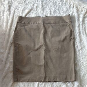 Banana Republic Chic Brown Mini Skirt